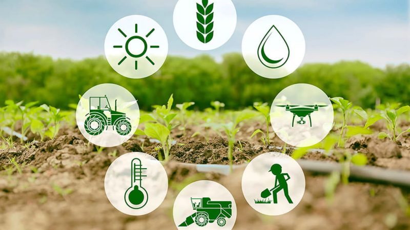 IOT- in-agriculture-today IOT- in-agriculture-today